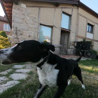 Casa Rural El Cocodrilo