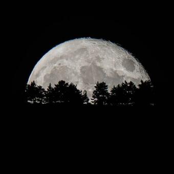 El Jard�n De Alameda