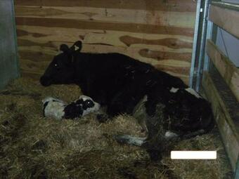 Apartamento Bio-ferienhof Hochbrandt