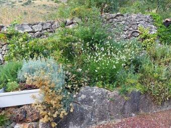 Agroturismo Casa Coraz�n De Piedra En El R�o Dulce