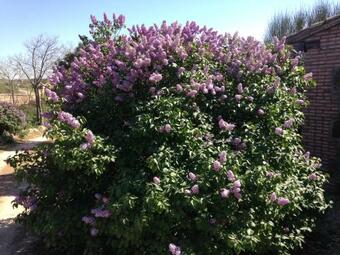 Villa Finca El Cerco