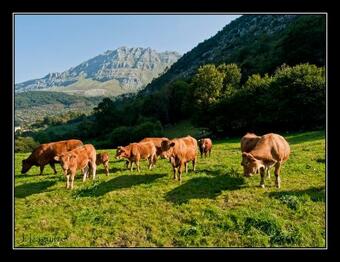 Apartamento Chalet En La Monta�a Junto A 2 R�os En Cantabria