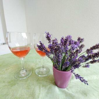 Apartamento Laurin Vend�gh�z