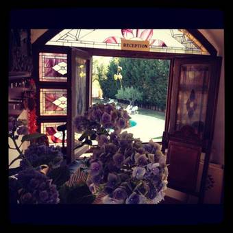 Aparthotel Villa Lav