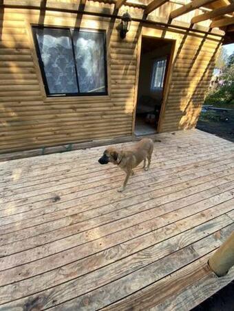 Apartamento Caba�a La Higuera (quill�n)