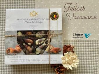 Apartamento Playa De Oro 17c Calpea