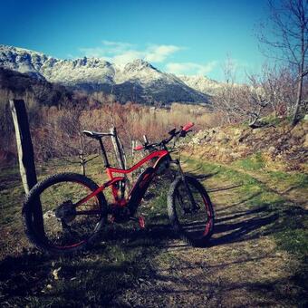 Apartamento La Albarea