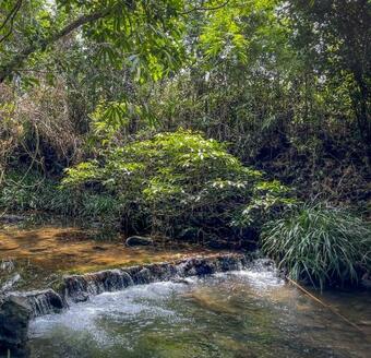 Hostal Riverside Nipa Village