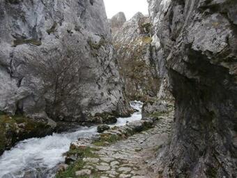 Apartamento El Molin De Eloy
