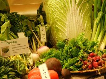 Hotel Satoyama No Kyujitsu Kyoto Keburikawa