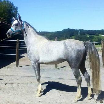 6 Bedrooms House With Furnished Terrace And Wifi At Gamiz Fica