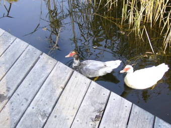 Hotel Dreamers Spa Village