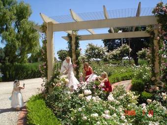 Barossa House Bed & Breakfast