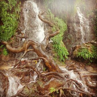 Villa ??????? ???????