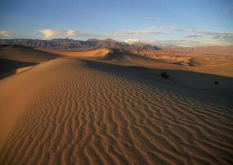 Hotel Jawharat Bidiah Resort