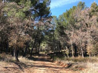 Casas Rurales Tio Mora