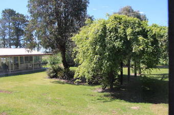 Cudgegong Valley Motel