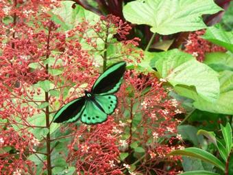 Bushland Cottages And Lodge