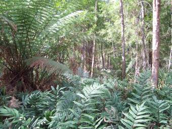 St. Pauls Bed & Breakfast