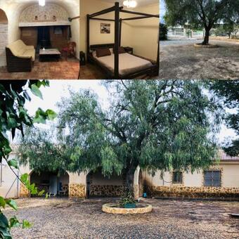 Casa Rural Cuevas Las Casicas