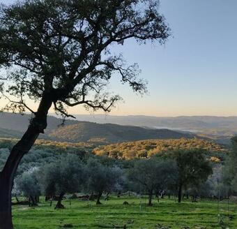 La Casa De La Umbr�a