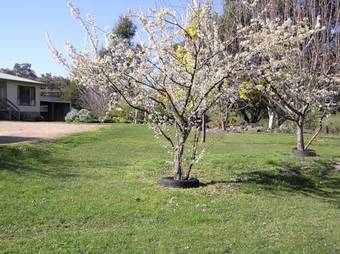 Apartamento Annies Holiday Units