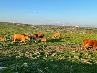 Apartamento Ephrem House