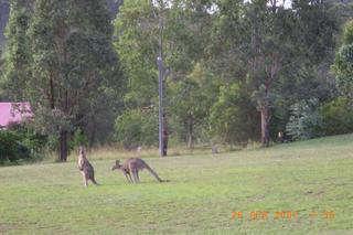 Bed & Breakfast Rothbury Escape