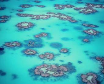 Hotel Heron Island Resort