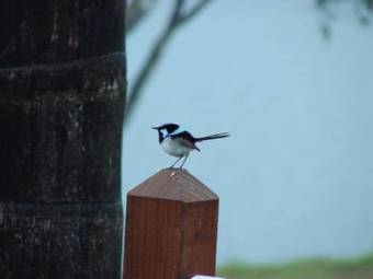 Clarence River Bed & Breakfast