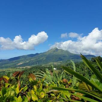 Les Hameaux Du Morne Des Cadets