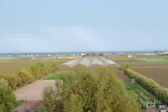 Ca Buganvilla. El Coraz�n De La Huerta Valenciana