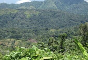 Entire Home W/ Private Pool; Casa Entera Con Piscina Privada