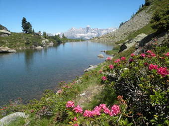 Premium Wanderhotel Steirerhof