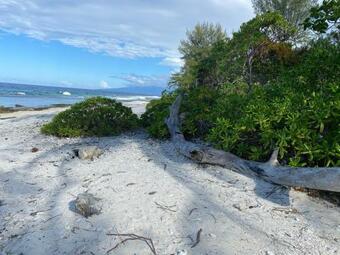 Moorea Chill House And Beach