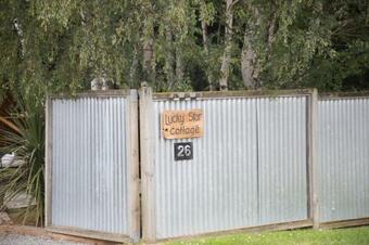 Star Gaze From Your Bed