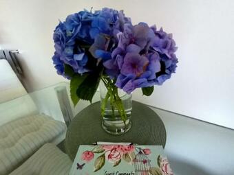 Apartamento Country Views At Boat Harbour