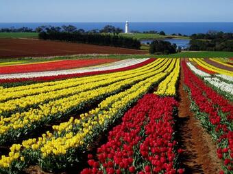 Bed & Breakfast Seascape Beach House