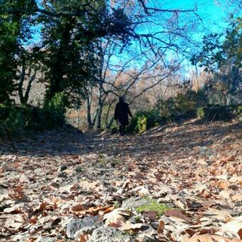 Apartamento La Due�a I