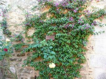 Monells - Casa Rural - Can Felip