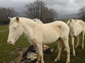 Apartamento Casa Rural Fuente Del Arca Montejo