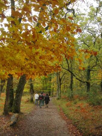 Apartamento Alojamientos El Horno