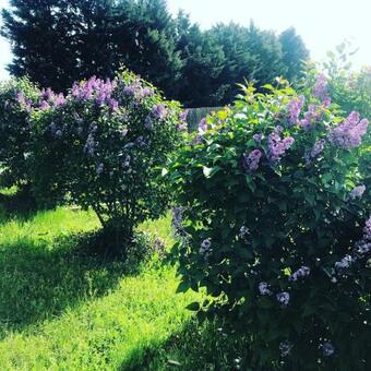 La Casa De La Pradera