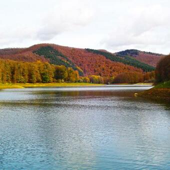 Gaztanbide Apartamento Rural