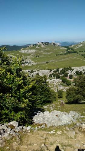 Apartamento Casa Rural Aingeru Naturaleza Y Monta�a