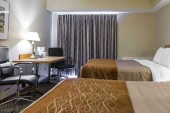 Motel Comfort Inn Bridgewater