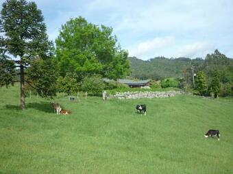 Bed & Breakfast Trevean Boutique Accommodation