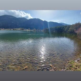 Villa Camping Farm Shelegur