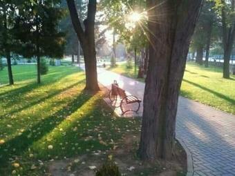 Apartamento Lara - 12 Eur Po Osobi