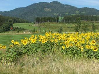 Hotel Gasthof Zur Linde